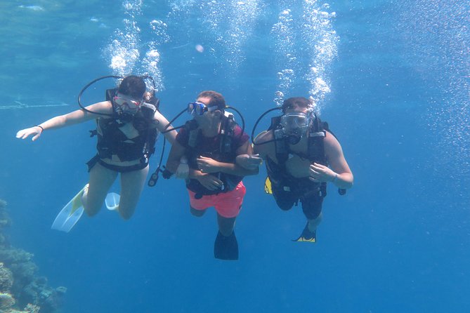 Daily 2 Dives with Equipment from Hurghada - The instructor team: calm safety and clear guidance