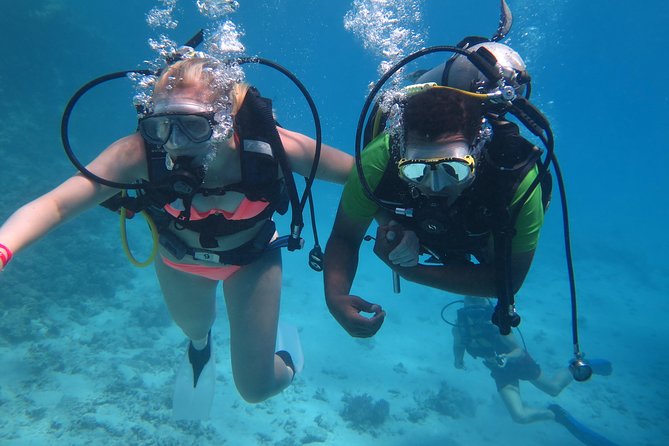 Daily 2 Dives with Equipment from Hurghada - Lunch on board: what you can actually expect