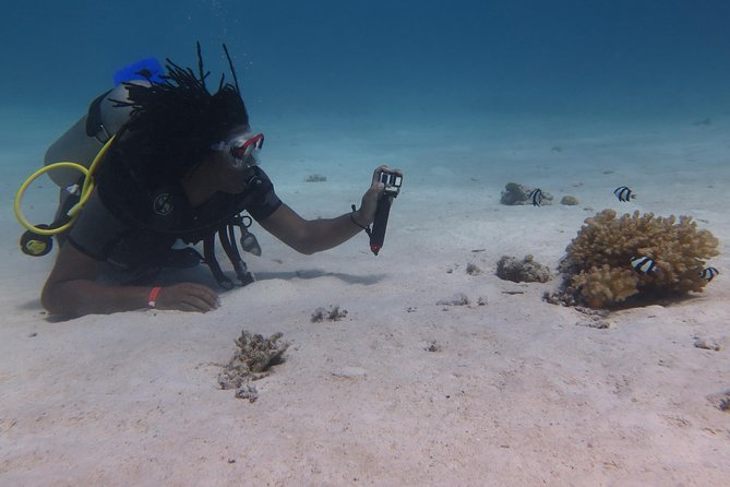 Daily 2 Dives with Equipment from Hurghada - From hotel to boat: the slow parts and why they’re unavoidable