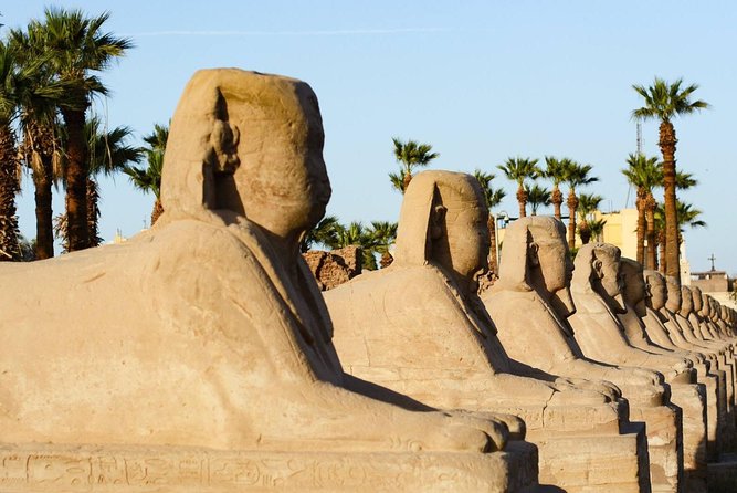 Day tour from hurghada to Luxor and back to hurghada (privet) - The real appeal: a Luxor hit from Hurghada, without the stress