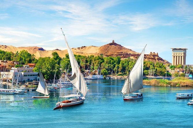 Day Tour From Luxor To Aswan - Temple of Kom Ombo: The Double Temple Setup