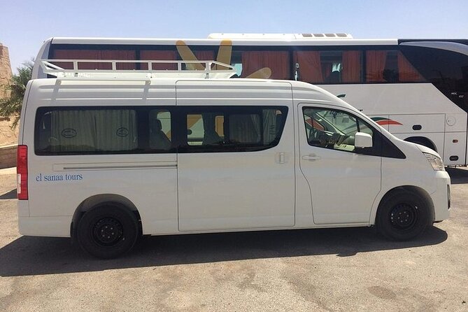 Day Tour to Abu Simbel from Aswan by Bus - What the Egyptologist Actually Helps You See