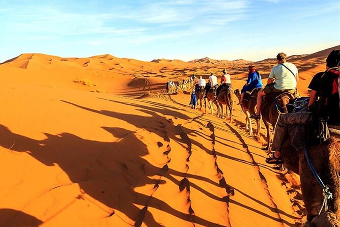 Day Tour To Cairo and Giza Pyramids from Alexandria Port - Alexandria Port to Cairo: the logistics that make this day trip feel doable