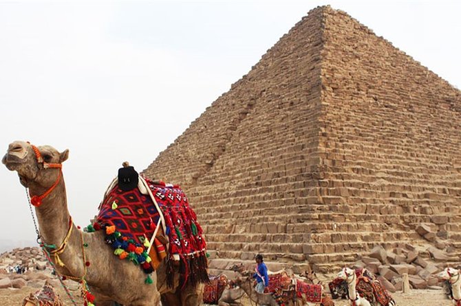 Day Tour To Cairo From Alexandria - Lunch and pacing: what you’re actually trading for 12 hours