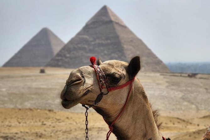 Day Tour to Giza Pyramids, Memphis City And Saqqara Pyramid - Meet the Egyptologist Guide: Clear Explanations and Less Fuss