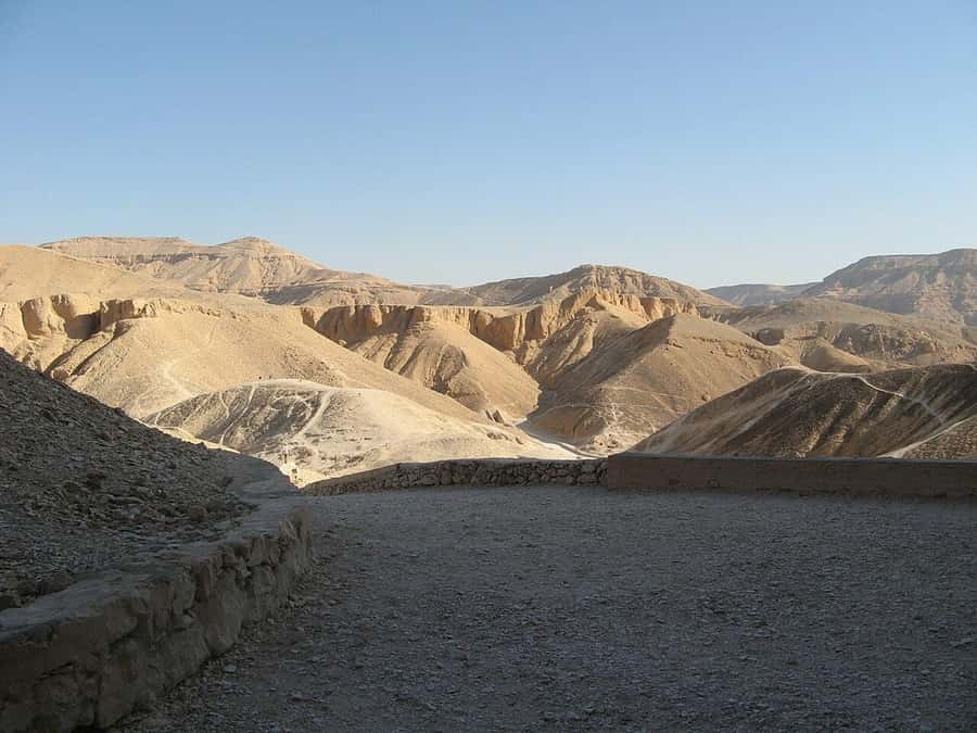 Day tour to Luxor from Aswan - Luxor Temple: Where the Evening-Feel Cameos Start