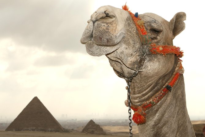 Day tour to Pyramids from Alexandria Port - Panorama Photos Together: The Viewpoint Stop You’ll Appreciate Later