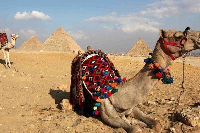 Day Trip to Cairo from Hurghada By Bus - Egyptian Museum time: how to make the most of thousands of objects