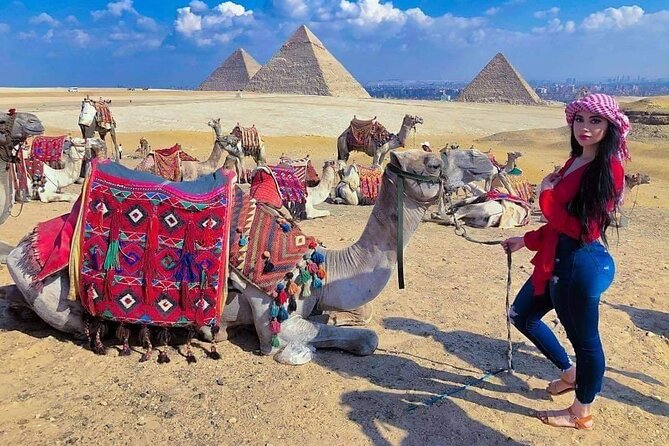 Day Trip to Cairo From Sharm El-Sheikh by Bus - The 1:00 am pickup and the bus logistics that matter