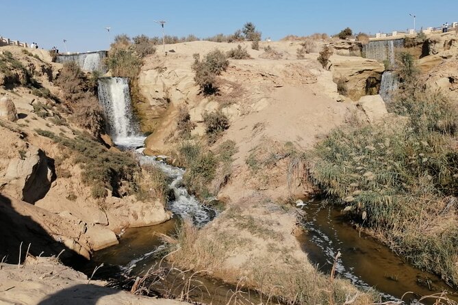 Day Trip To Fayoum From Cairo with lunch - Lake Qarun: the oasis pause that makes the day feel complete
