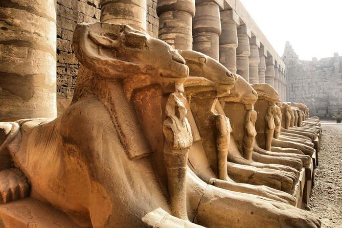 Day Trip To Luxor From Cairo By Plane - Valley of the Kings: choosing what to look for