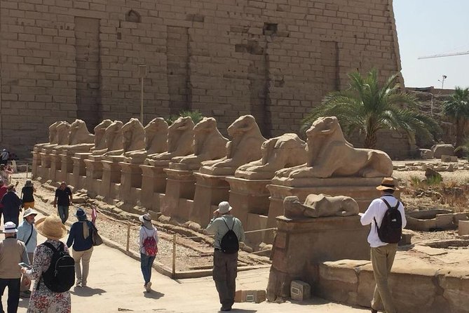 Day Trip to Luxor from Hurghada El Gouna - The 4:30 am start: how to make it work
