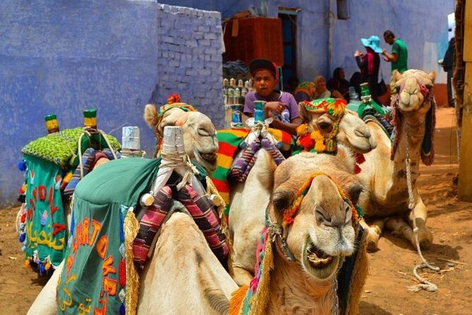 Day Trip to Nubian Village with Camel Tour from Aswan - Arriving at Nubian Village: what to expect when you step in