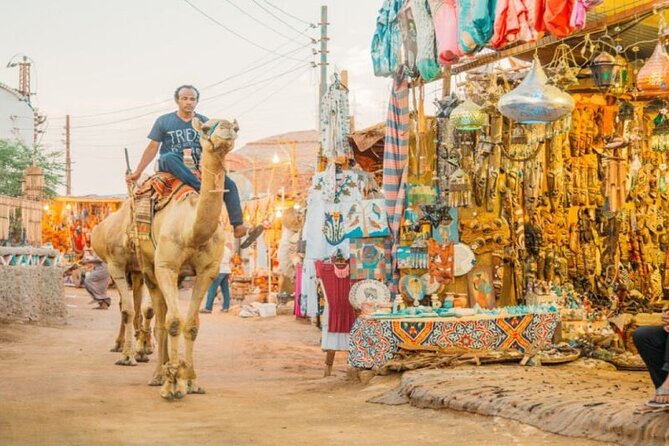 Day Trip to Nubian Village with Camel Tour from Aswan - Price and value: the $20 question (and when $10 extra applies)