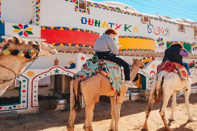 Day Trip to Nubian Village with Camel Tour from Aswan - Pickup, motor ride, and why the logistics are the real deal
