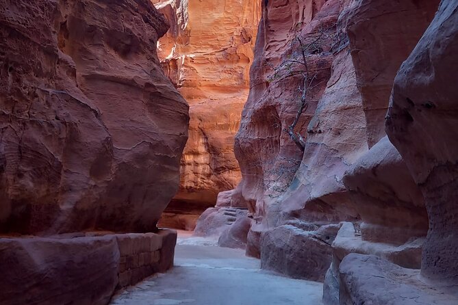Day trip to Petra by ferry from Sharm el Sheikh - Aqaba to Petra: Transfers, Border Timing, and First Approach to the Park
