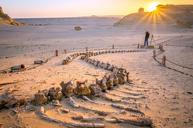 Day Trip to Valley of Whales from Cairo - Wadi El Hitan - Key highlights to know before you go
