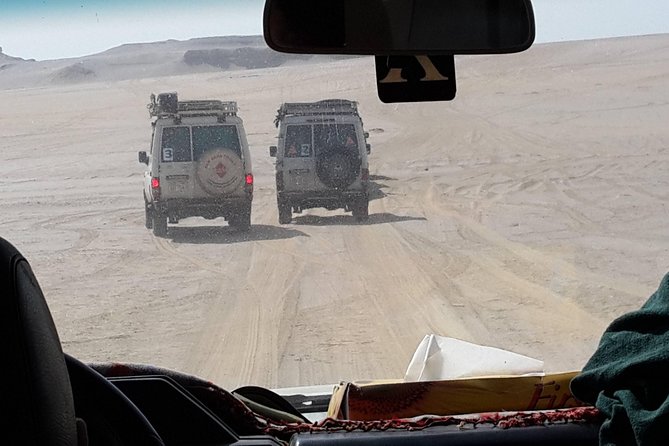 Day Trip to Valley of Whales from Cairo - Wadi El Hitan - Why Wadi El Hitan beats a day in central Cairo