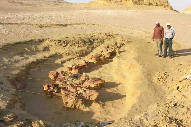 Day Trip to Valley of Whales from Cairo - Wadi El Hitan - Morning pickup, Fayoum roads, and the 4WD desert shift