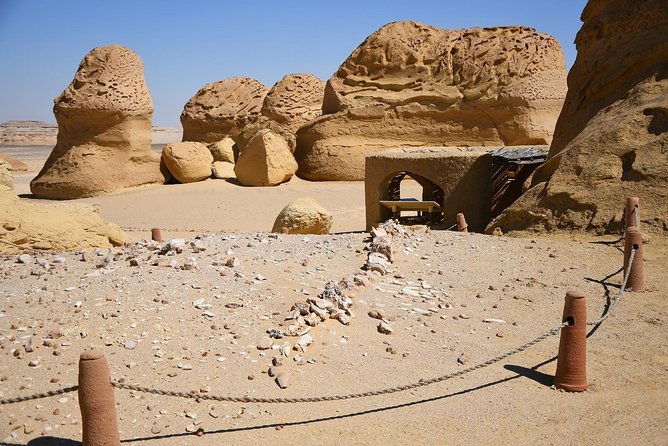 Day Trip to Wadi El-Hitan, Wadi El-Rayyan & Al Fayyom Oasis - Leaving Cairo Made Simple: 4WD, pickup, and a sensible game plan