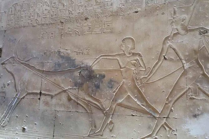 Dendera and Abydos Temples Day Tour from Luxor - Value check: is $65 a good deal for two temple complexes?