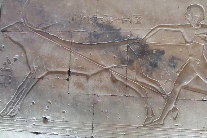 Dendera and Abydos Temples Day Tour from Luxor - The drive from Luxor: what to expect and how to make it easier