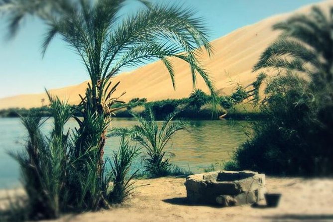Desert Camping With The Bedouins Under The Stars - White & Black Deserts - Cairo and the drive: why the transfers are the difference-maker