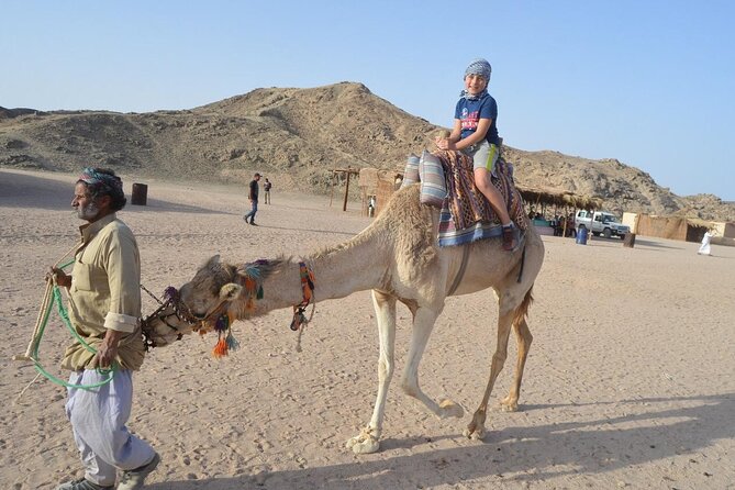 Desert Quad, Jeep, Camel and Buggy Safari with BBQ Dinner - The Ride Lineup: Jeep, ATV Quad, and Buggy Dunes