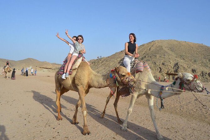 Desert Quad, Jeep, Camel and Buggy Safari with BBQ Dinner - Bedouin Village Stop and Camel Ride
