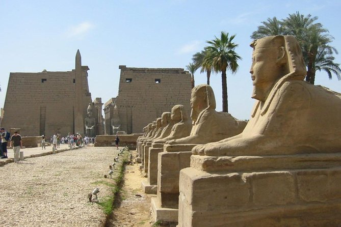 Discover Egypt - 7 Days (Cairo/Luxor/Aswan) - Aswan via Edfu and Kom Ombo: Philae’s Isis connection and a Nile felucca