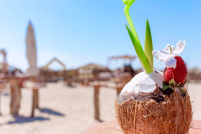 Discover Paradise Island Adventure - Lunch, soft drinks, and the crew’s real impact