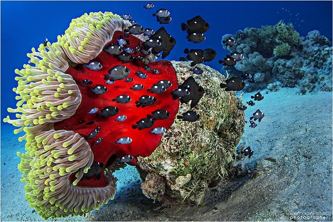 Discover Scuba Diving Sharm El Sheikh - Lunch and the small details that keep the day from dragging