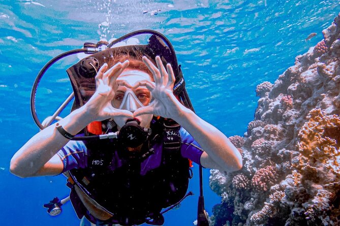 Discover Scuba Diving Sharm El Sheikh - Group size and what it really means for your first day