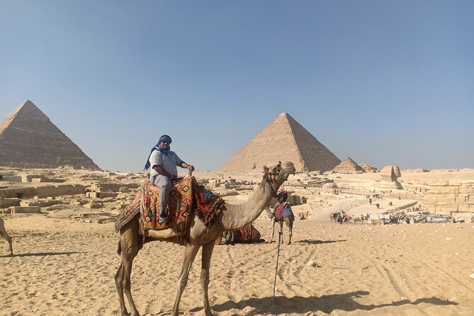 Discover The Essentials Of Egypt ' Cairo & Giza & Alexandria ' - Alexandria in One Long Day: Catacombs, Pompey’s Pillar, Fortress Views, and the Library