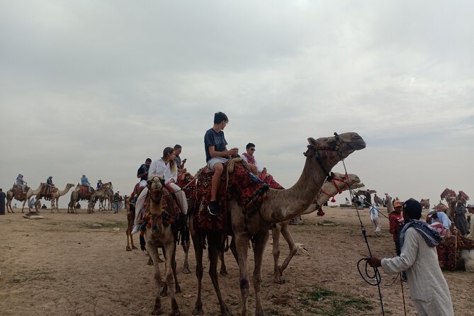 Discover The Essentials Of Egypt ' Cairo & Giza & Alexandria ' - Private Door-to-Door Transport: Why This Format Saves Your Trip