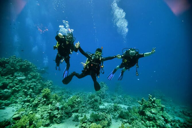 Diving And Snorkeling To Ras Mohamed And White Island By VIP Boat - What you’ll do (and what you might skip)
