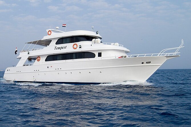 Diving And Snorkeling To Ras Mohamed And White Island By VIP Boat - Key highlights you should know before you go