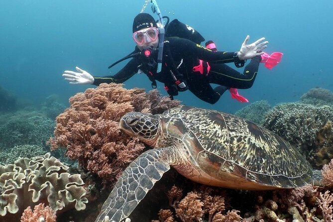Diving And Snorkeling To Ras Mohamed And White Island By VIP Boat - Lunch on deck and drinks all day: the simple comfort factor