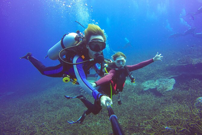 Diving Full Day 2 Stops Boat Trip For Beginners With Lunch and Transfer–Hurghada - Hotel Pickup to Open-Water: How the Day Flows