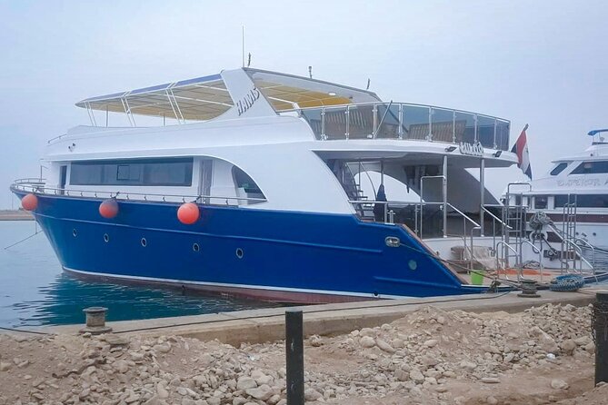 Diving Full Day 2 Stops Boat Trip For Beginners With Lunch and Transfer–Hurghada - Who Should Book This Scuba Starter Boat Trip