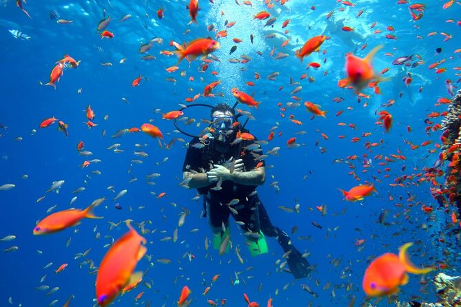 Diving in Hurghada for Beginners With Lunch and Transfer - Key things you’ll notice before you go