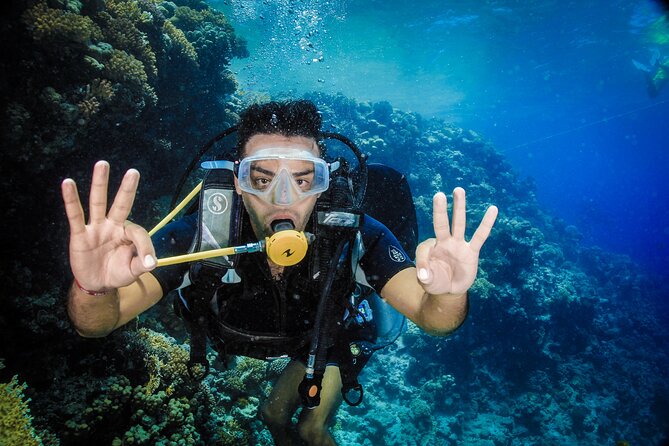 Diving in Hurghada for Beginners With Lunch and Transfer - Morning pickup and the boat ride setup