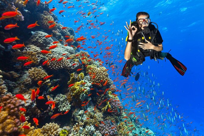 Diving in Hurghada for Beginners With Lunch and Transfer - Equipment and comfort: included gear and what that means for you