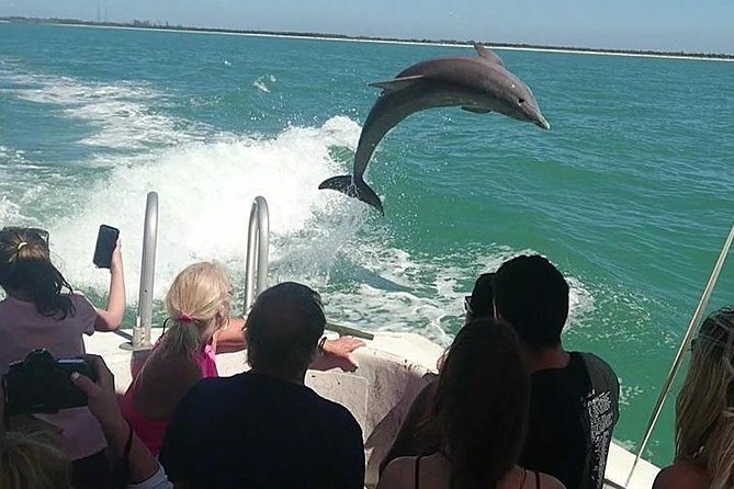 Dolphin House By Private Speed Boat & Drinks & Transfer-Hurghada - Private Speedboat Reality Check: comfort, wind, and time on the water