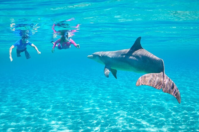 Dolphin House By Private Speed Boat & Drinks & Transfer-Hurghada - Crew, language, and boat condition: the small stuff that can change your day