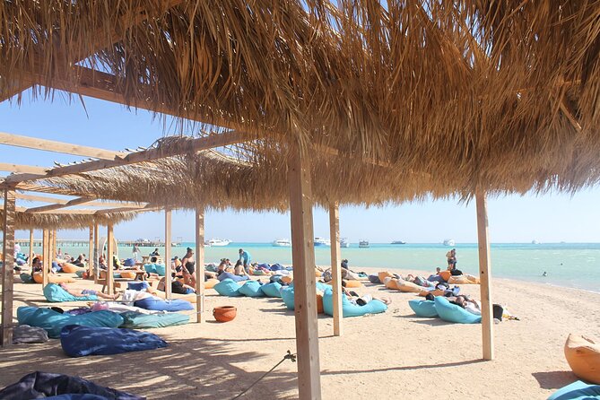 Dolphin House By Private Speedboat With Giftun Island _ Hurghada - Dolphin watching: 80% odds and the mindset that helps
