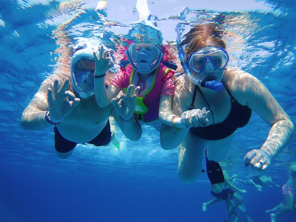 Dolphin House Reef Snorkeling Sea Trip With Transfer - Marsa Alam - Dolphin House vs Sataya Reef: what you’re really aiming for
