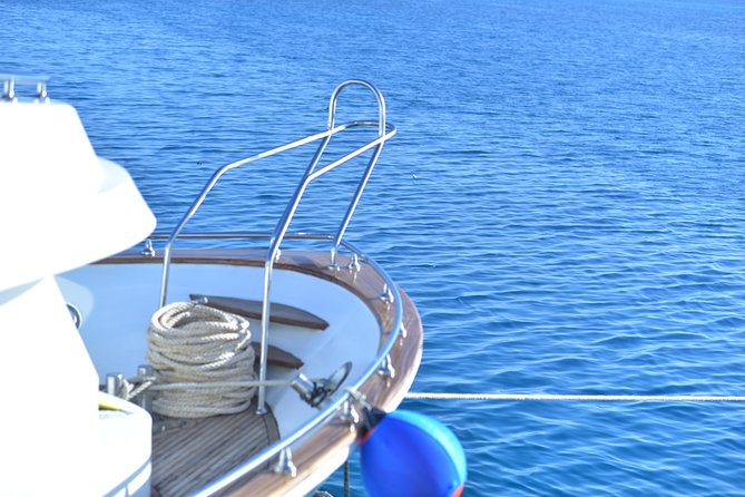 Dolphin House Reef Snorkeling Sea Trip With Transfer - Marsa Alam - Boat comfort, gear, and how the trip stays manageable