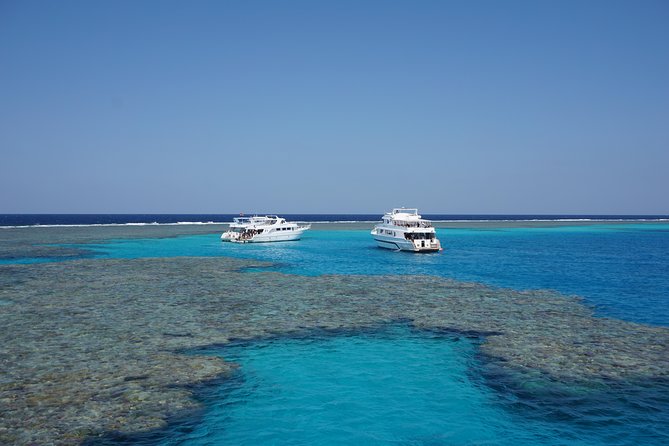 Dolphin House Reef Snorkeling Sea Trip With Transfer - Marsa Alam - Transfers and logistics: you won’t lose time playing phone tag