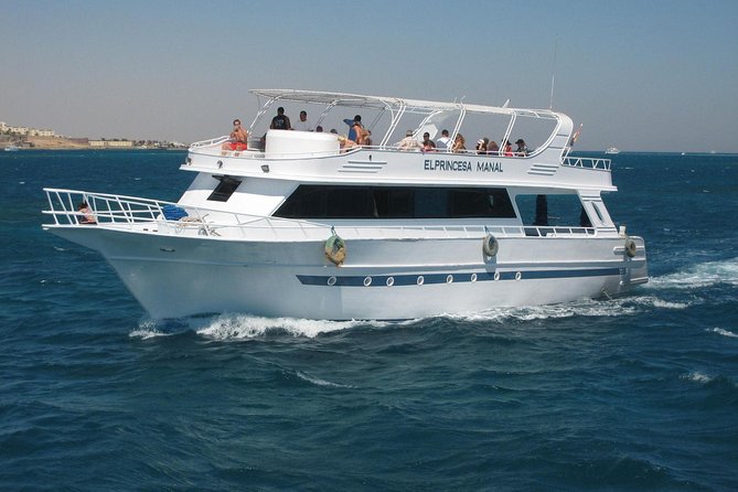Dolphin House Royal VIP Special Day Snorkeling Sea Trip With Lunch - Hurghada - Dolphin House Royal VIP: What Makes This Hurghada Sea Day Different